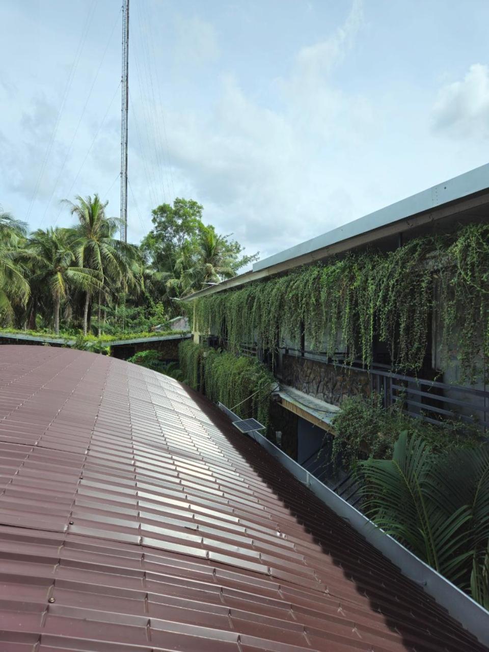 Homestay Bao Binh Ben Tre Εξωτερικό φωτογραφία