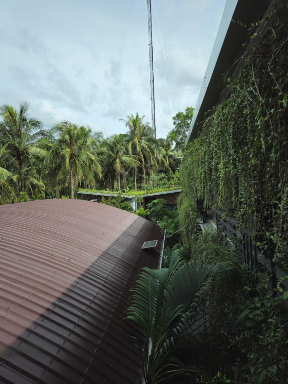Homestay Bao Binh Ben Tre Εξωτερικό φωτογραφία