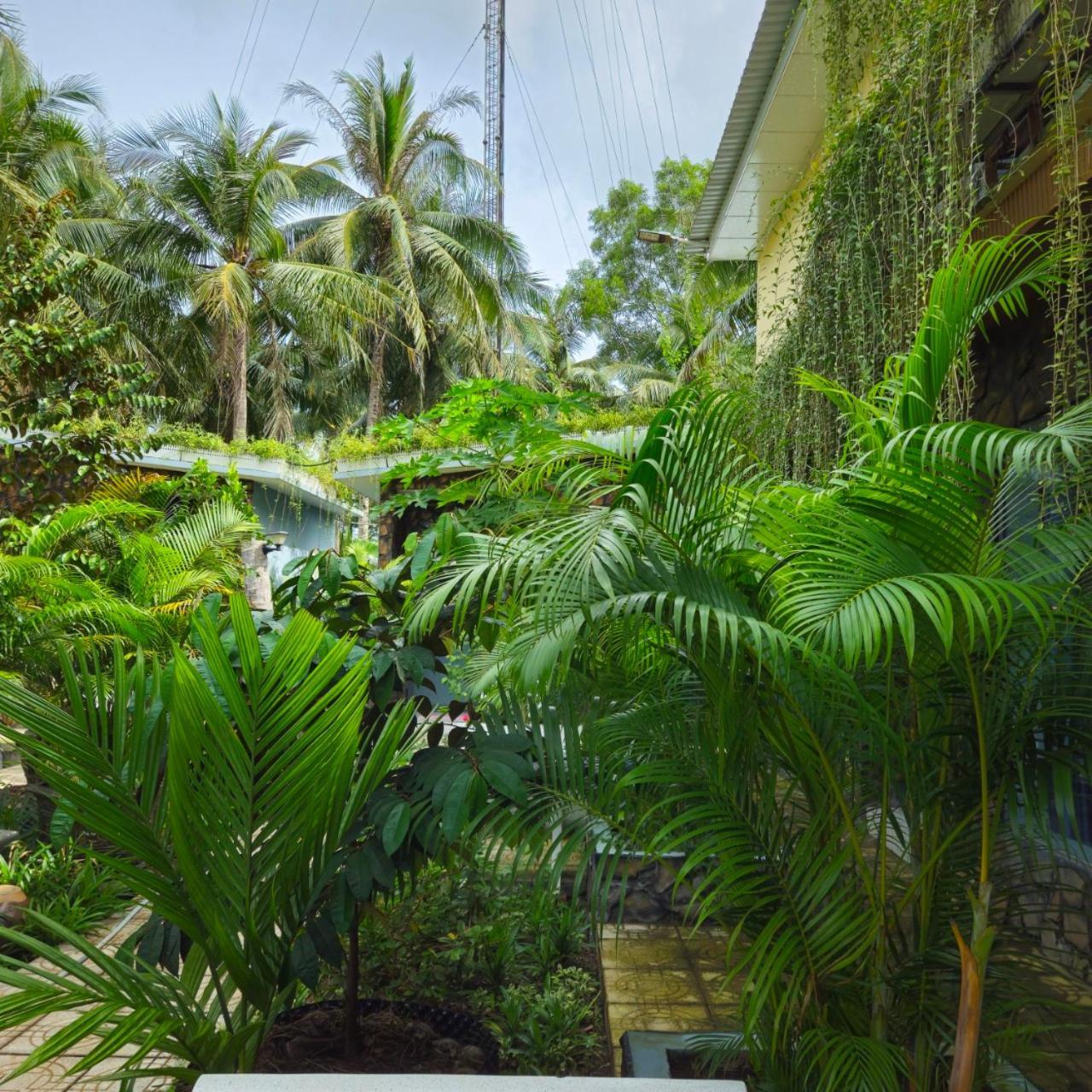 Homestay Bao Binh Ben Tre Εξωτερικό φωτογραφία