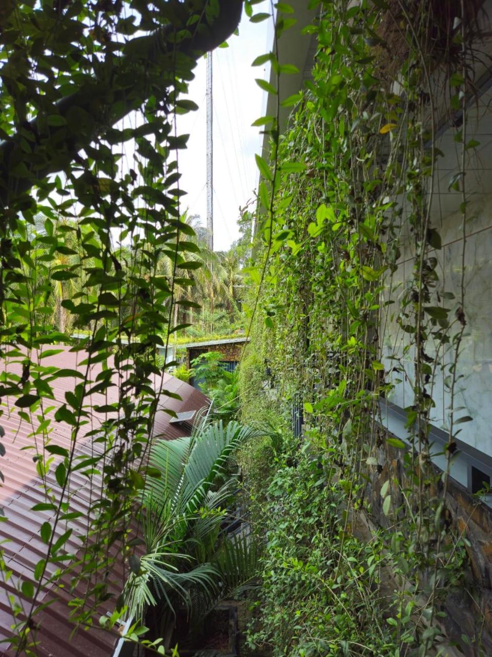 Homestay Bao Binh Ben Tre Εξωτερικό φωτογραφία
