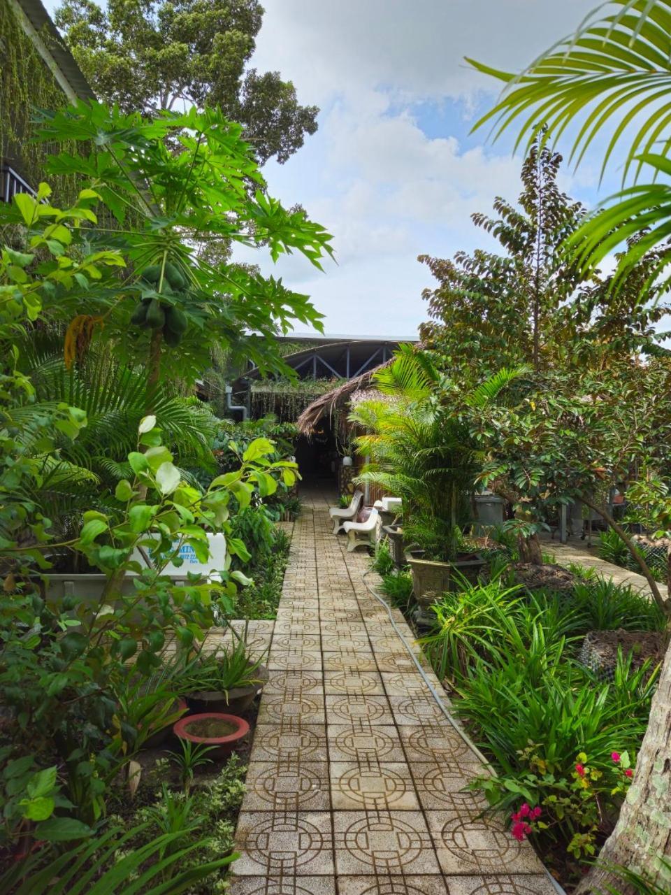 Homestay Bao Binh Ben Tre Εξωτερικό φωτογραφία